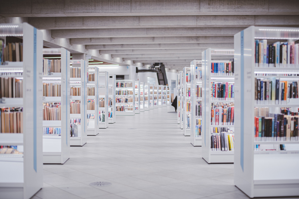 Photo by Ryunosuke Kikuno (https://unsplash.com/@ryunosuke_kikuno)